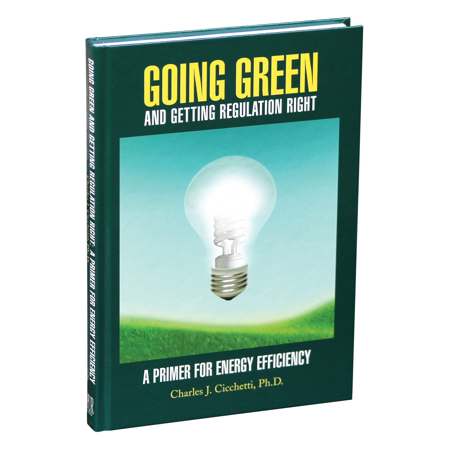 Going Green and Getting Regulation Right: A Primer on Energy Efficiency