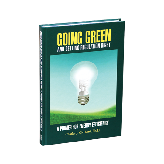 Going Green and Getting Regulation Right: A Primer on Energy Efficiency