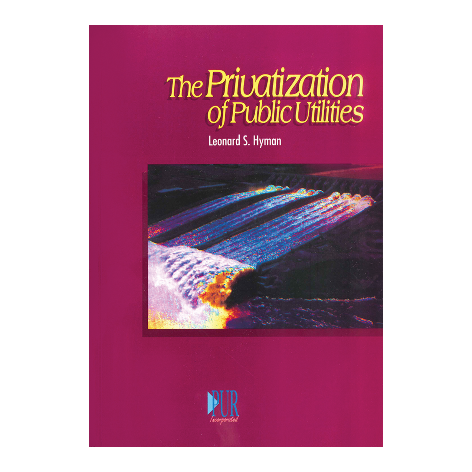 The Privatization of Public Utilities
